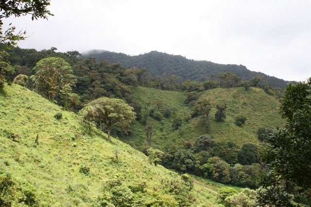 Boquete Tree Trek, Boquete Panama